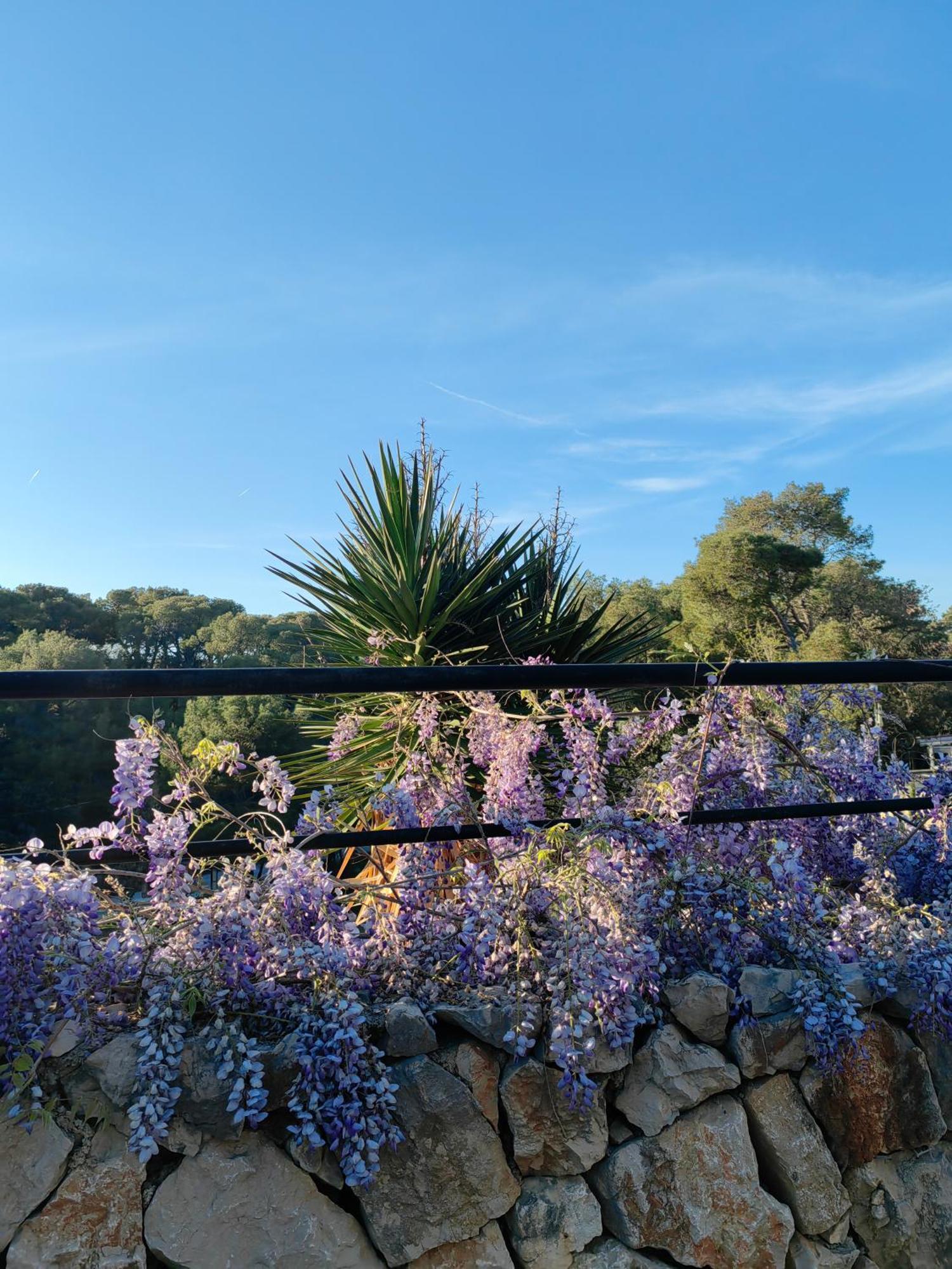 Mobile Home Tonka Biograd Na Moru Dış mekan fotoğraf